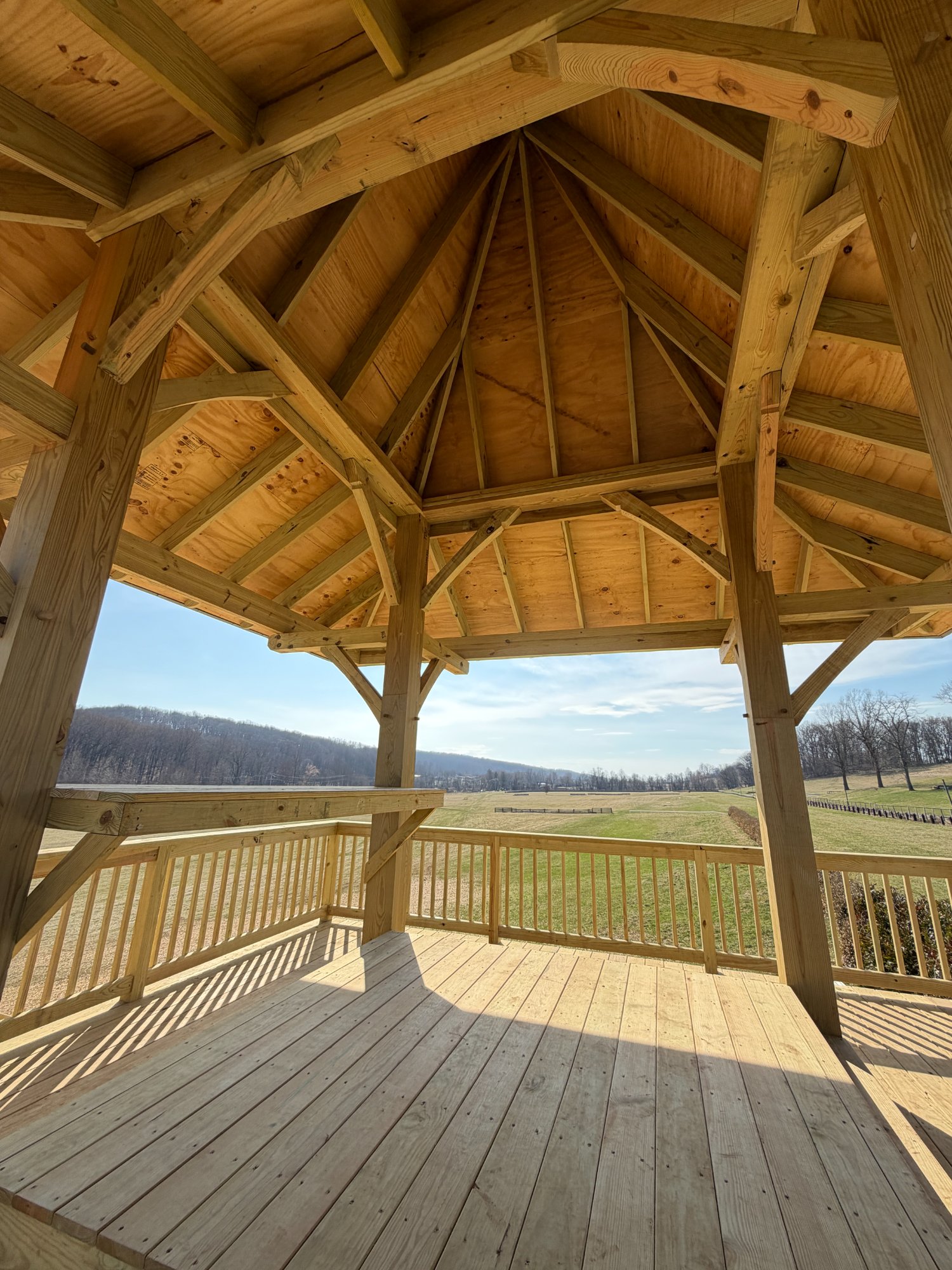Interior view looking up through timber-frame roof structure with exposed post-and-beam joinery — Shawan Downs